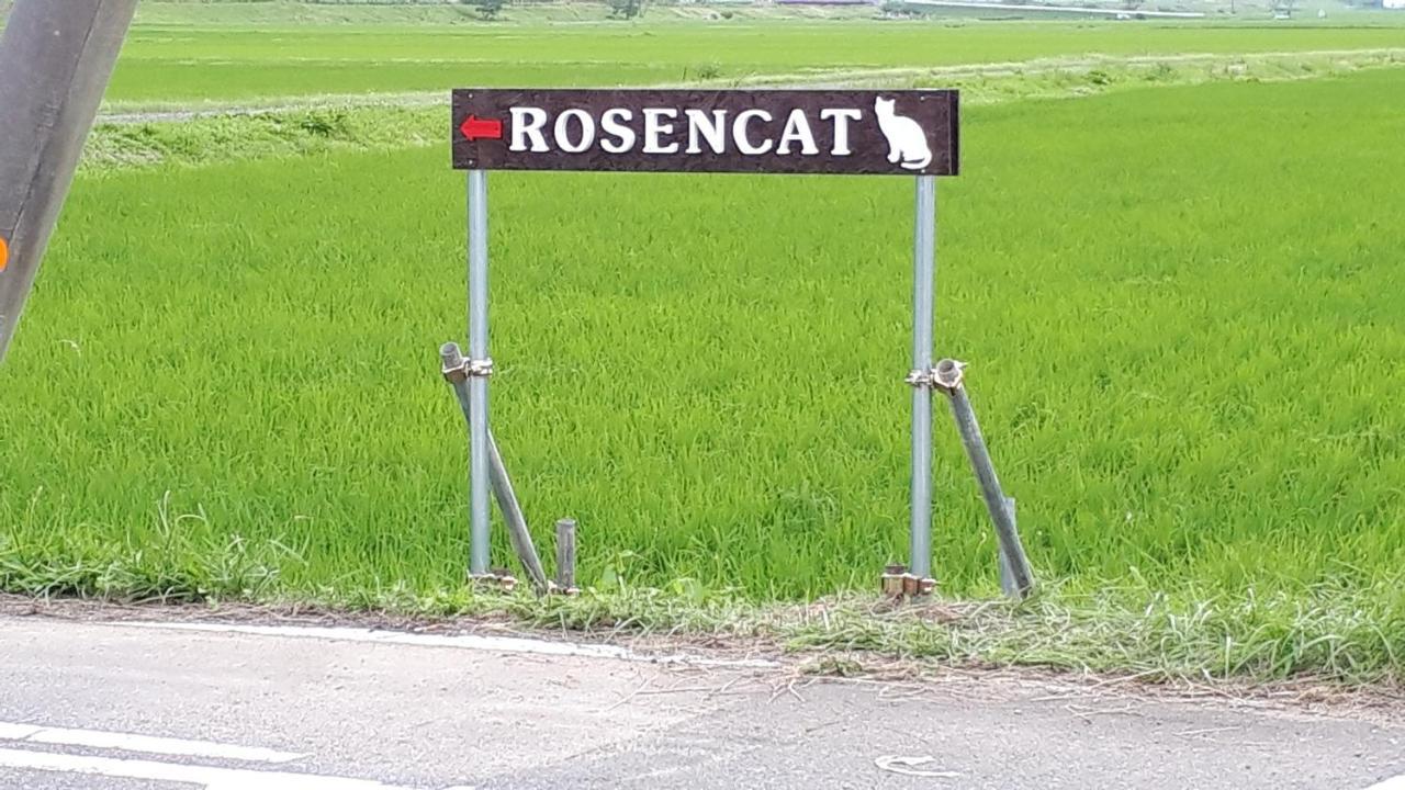 Вилла Rosencat Sado Экстерьер фото